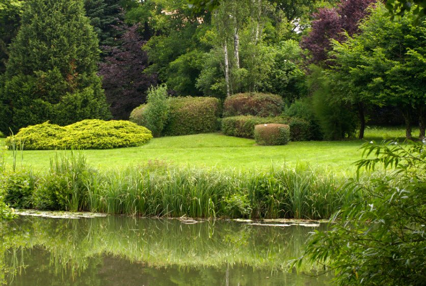 Parc de l'Étang, Battrans, France, France